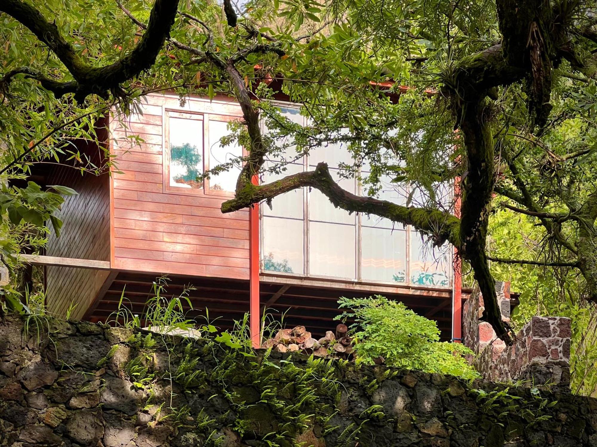 Santuario Ave Fenix-Cabanas Tepoztlán Exteriör bild